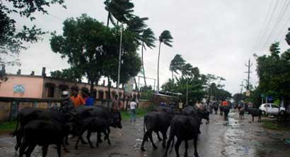 Andhra-cyclone